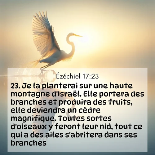 Segond21 Ézéchiel  ; image nature: image avec le verset biblique :Je la planterai sur une haute montagne d&#039;Israël. Elle portera des branches et produira des fruits, elle deviendra un cèdre magnifique. Toutes sortes d&#039;oiseaux y feront leur nid, tout ce qui a des ailes s&#039;abritera dans ses branches. ;  ; 17:23