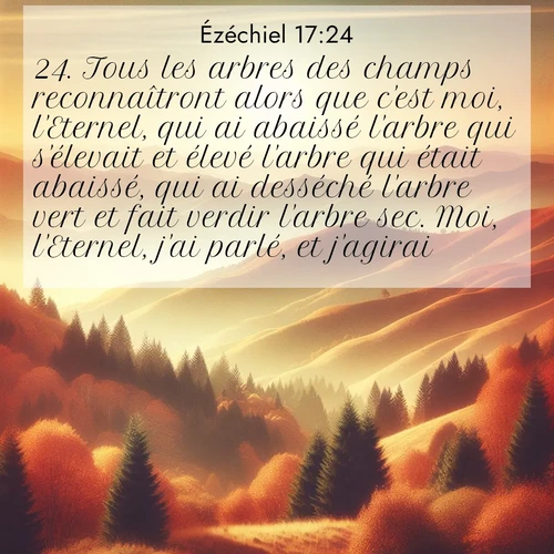 Segond21 Ézéchiel  ; image nature: image avec le verset biblique :Tous les arbres des champs reconnaîtront alors que c&#039;est moi, l&#039;Eternel, qui ai abaissé l&#039;arbre qui s&#039;élevait et élevé l&#039;arbre qui était abaissé, qui ai desséché l&#039;arbre vert et fait verdir l&#039;arbre sec. Moi, l&#039;Eternel, j&#039;ai parlé, et j&#039;agirai.» ;  ; 17:24