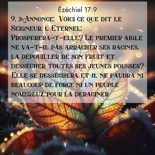 Segond21 Ézéchiel  ; image nature: image avec le verset biblique :»Annonce: &#039;Voici ce que dit le Seigneur, l&#039;Eternel: Prospérera-t-elle? Le premier aigle ne va-t-il pas arracher ses racines, la dépouiller de son fruit et dessécher toutes ses jeunes pousses? Elle se desséchera et il ne faudra ni beaucoup de force ni un peuple nombreux pour la déraciner. ;  ; 17:9