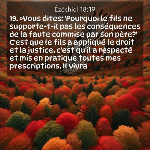 Segond21 Ézéchiel  ; image nature: image avec le verset biblique :»Vous dites: &#039;Pourquoi le fils ne supporte-t-il pas les conséquences de la faute commise par son père?&#039; C&#039;est que le fils a appliqué le droit et la justice, c&#039;est qu&#039;il a respecté et mis en pratique toutes mes prescriptions. Il vivra. ;  ; 18:19