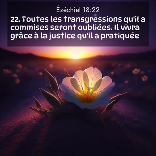 Segond21 Ézéchiel  ; image nature: image avec le verset biblique :Toutes les transgressions qu&#039;il a commises seront oubliées. Il vivra grâce à la justice qu&#039;il a pratiquée. ;  ; 18:22
