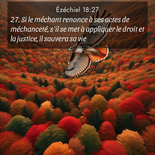 Segond21 Ézéchiel  ; image nature: image avec le verset biblique :Si le méchant renonce à ses actes de méchanceté, s&#039;il se met à appliquer le droit et la justice, il sauvera sa vie. ;  ; 18:27