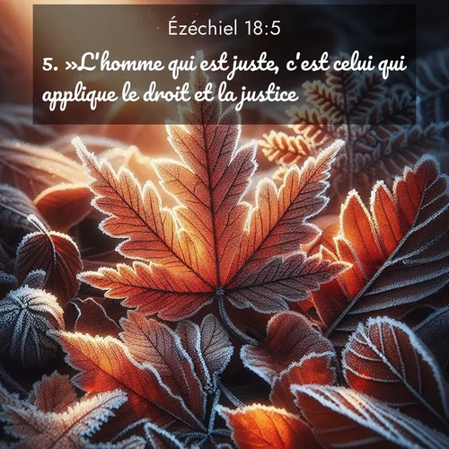 Segond21 Ézéchiel  ; image nature: image avec le verset biblique :»L&#039;homme qui est juste, c&#039;est celui qui applique le droit et la justice. ;  ; 18:5