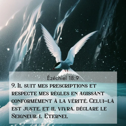 Segond21 Ézéchiel  ; image nature: image avec le verset biblique :Il suit mes prescriptions et respecte mes règles en agissant conformément à la vérité. Celui-là est juste, et il vivra, déclare le Seigneur, l&#039;Eternel. ;  ; 18:9