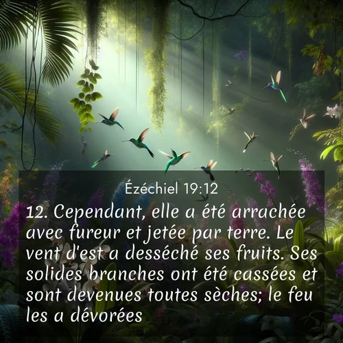 Segond21 Ézéchiel  ; image nature: image avec le verset biblique :Cependant, elle a été arrachée avec fureur et jetée par terre. Le vent d&#039;est a desséché ses fruits. Ses solides branches ont été cassées et sont devenues toutes sèches; le feu les a dévorées. ;  ; 19:12