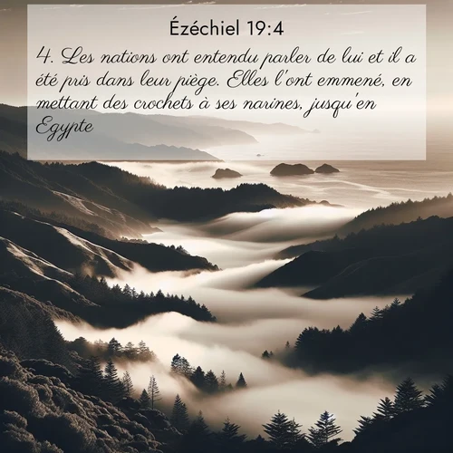 Segond21 Ézéchiel  ; image nature: image avec le verset biblique :Les nations ont entendu parler de lui et il a été pris dans leur piège. Elles l&#039;ont emmené, en mettant des crochets à ses narines, jusqu&#039;en Egypte. ;  ; 19:4