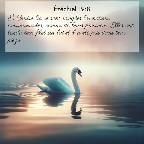 Segond21 Ézéchiel  ; image nature: image avec le verset biblique :Contre lui se sont rangées les nations environnantes, venues de leurs provinces. Elles ont tendu leur filet sur lui et il a été pris dans leur piège. ;  ; 19:8
