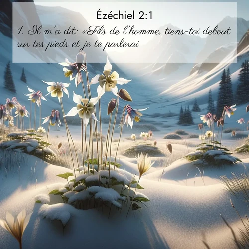 Images liées de la nature avec versets bibliques