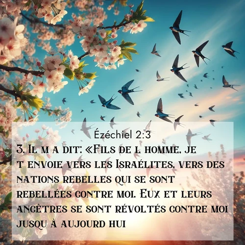 Segond21 Ézéchiel  ; image nature: image avec le verset biblique :Il m&#039;a dit: «Fils de l&#039;homme, je t&#039;envoie vers les Israélites, vers des nations rebelles qui se sont rebellées contre moi. Eux et leurs ancêtres se sont révoltés contre moi jusqu&#039;à aujourd&#039;hui. ;  ; 2:3