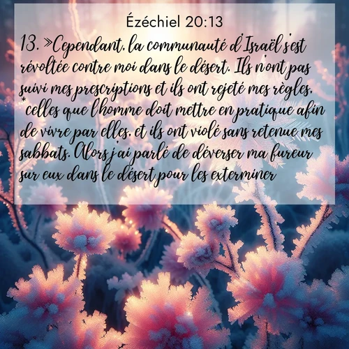 Segond21 Ézéchiel  ; image nature: image avec le verset biblique :»Cependant, la communauté d&#039;Israël s&#039;est révoltée contre moi dans le désert. Ils n&#039;ont pas suivi mes prescriptions et ils ont rejeté mes règles, *celles que l&#039;homme doit mettre en pratique afin de vivre par elles, et ils ont violé sans retenue mes sabbats. Alors j&#039;ai parlé de déverser ma fureur sur eux dans le désert pour les exterminer, ;  ; 20:13
