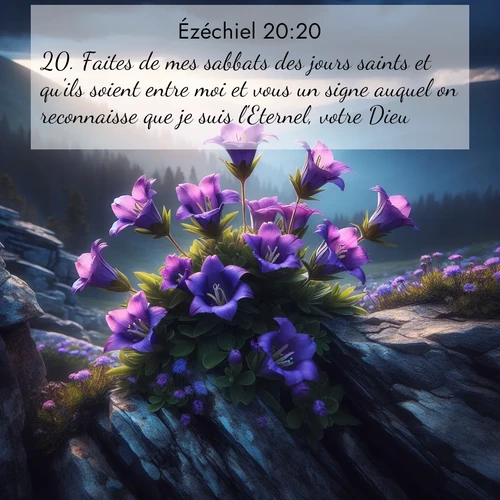Segond21 Ézéchiel  ; image nature: image avec le verset biblique :Faites de mes sabbats des jours saints et qu&#039;ils soient entre moi et vous un signe auquel on reconnaisse que je suis l&#039;Eternel, votre Dieu!&#039; ;  ; 20:20