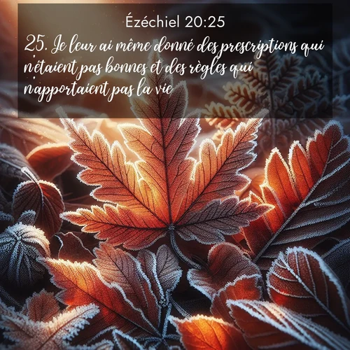 Segond21 Ézéchiel  ; image nature: image avec le verset biblique :Je leur ai même donné des prescriptions qui n&#039;étaient pas bonnes et des règles qui n&#039;apportaient pas la vie. ;  ; 20:25