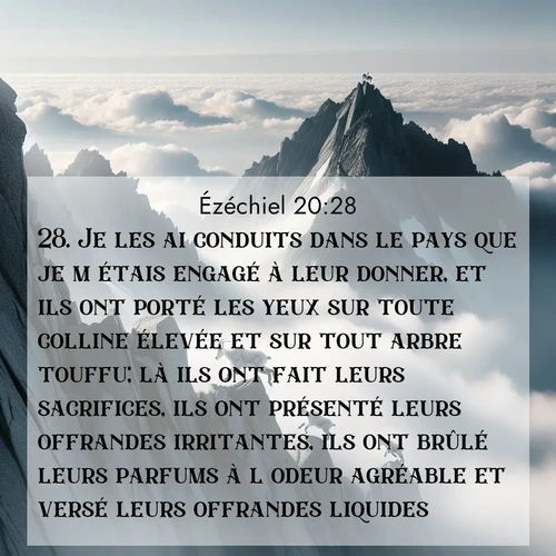 Segond21 Ézéchiel  ; image nature: image avec le verset biblique :Je les ai conduits dans le pays que je m&#039;étais engagé à leur donner, et ils ont porté les yeux sur toute colline élevée et sur tout arbre touffu; là ils ont fait leurs sacrifices, ils ont présenté leurs offrandes irritantes, ils ont brûlé leurs parfums à l&#039;odeur agréable et versé leurs offrandes liquides. ;  ; 20:28