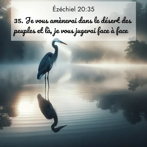 Segond21 Ézéchiel  ; image nature: image avec le verset biblique :Je vous amènerai dans le désert des peuples et là, je vous jugerai face à face. ;  ; 20:35