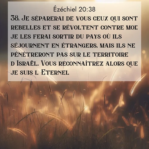 Segond21 Ézéchiel  ; image nature: image avec le verset biblique :Je séparerai de vous ceux qui sont rebelles et se révoltent contre moi; je les ferai sortir du pays où ils séjournent en étrangers, mais ils ne pénétreront pas sur le territoire d&#039;Israël. Vous reconnaîtrez alors que je suis l&#039;Eternel. ;  ; 20:38
