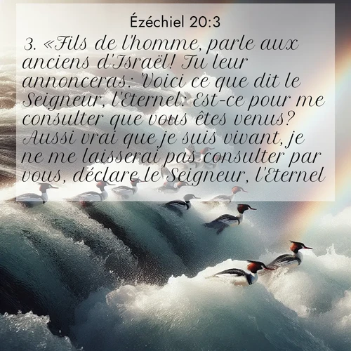 Segond21 Ézéchiel  ; image nature: image avec le verset biblique :«Fils de l&#039;homme, parle aux anciens d&#039;Israël! Tu leur annonceras: &#039;Voici ce que dit le Seigneur, l&#039;Eternel: Est-ce pour me consulter que vous êtes venus? Aussi vrai que je suis vivant, je ne me laisserai pas consulter par vous, déclare le Seigneur, l&#039;Eternel.&#039; ;  ; 20:3