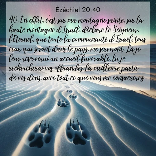 Segond21 Ézéchiel  ; image nature: image avec le verset biblique :En effet, c&#039;est sur ma montagne sainte, sur la haute montagne d&#039;Israël, déclare le Seigneur, l&#039;Eternel, que toute la communauté d&#039;Israël, tous ceux qui seront dans le pays, me serviront. Là je leur réserverai un accueil favorable, là je rechercherai vos offrandes, la meilleure partie de vos dons, avec tout ce que vous me consacrerez. ;  ; 20:40