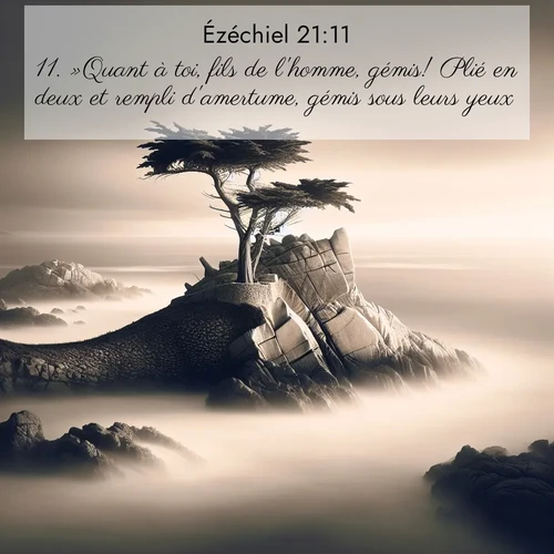 Segond21 Ézéchiel  ; image nature: image avec le verset biblique :»Quant à toi, fils de l&#039;homme, gémis! Plié en deux et rempli d&#039;amertume, gémis sous leurs yeux! ;  ; 21:11