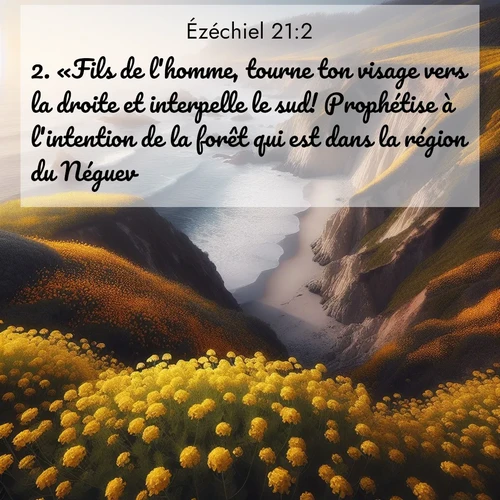 Segond21 Ézéchiel  ; image nature: image avec le verset biblique :«Fils de l&#039;homme, tourne ton visage vers la droite et interpelle le sud! Prophétise à l&#039;intention de la forêt qui est dans la région du Néguev! ;  ; 21:2