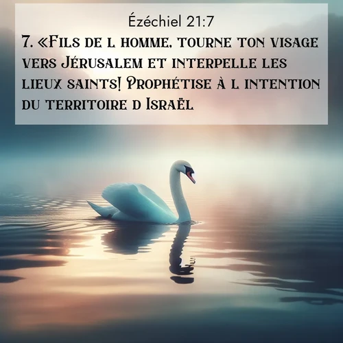Segond21 Ézéchiel  ; image nature: image avec le verset biblique :«Fils de l&#039;homme, tourne ton visage vers Jérusalem et interpelle les lieux saints! Prophétise à l&#039;intention du territoire d&#039;Israël! ;  ; 21:7