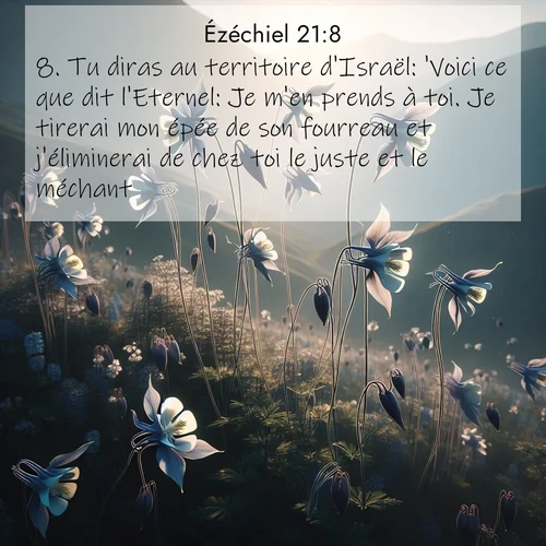 Segond21 Ézéchiel  ; image nature: image avec le verset biblique :Tu diras au territoire d&#039;Israël: &#039;Voici ce que dit l&#039;Eternel: Je m&#039;en prends à toi. Je tirerai mon épée de son fourreau et j&#039;éliminerai de chez toi le juste et le méchant. ;  ; 21:8