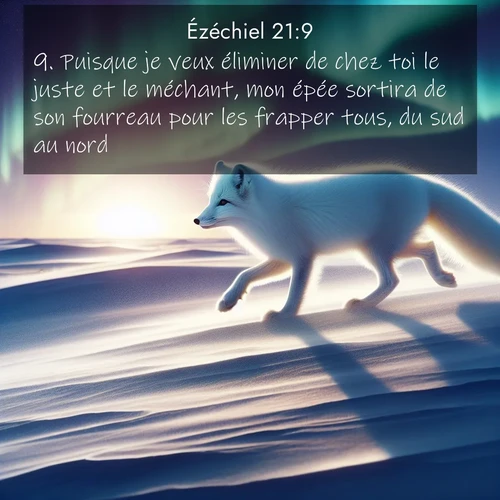 Segond21 Ézéchiel  ; image nature: image avec le verset biblique :Puisque je veux éliminer de chez toi le juste et le méchant, mon épée sortira de son fourreau pour les frapper tous, du sud au nord.&#039; ;  ; 21:9