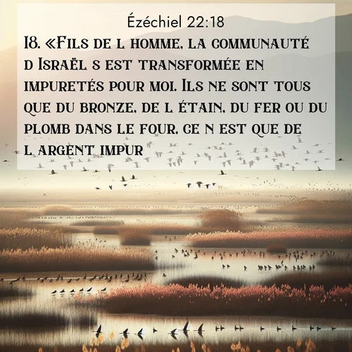 Segond21 Ézéchiel  ; image nature: image avec le verset biblique :«Fils de l&#039;homme, la communauté d&#039;Israël s&#039;est transformée en impuretés pour moi. Ils ne sont tous que du bronze, de l&#039;étain, du fer ou du plomb dans le four, ce n&#039;est que de l&#039;argent impur. ;  ; 22:18