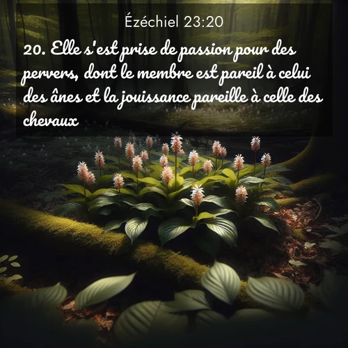 Segond21 Ézéchiel  ; image nature: image avec le verset biblique :Elle s&#039;est prise de passion pour des pervers, dont le membre est pareil à celui des ânes et la jouissance pareille à celle des chevaux. ;  ; 23:20