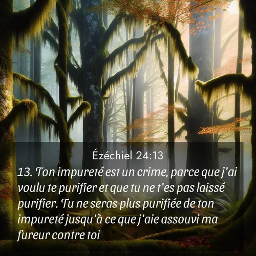 Segond21 Ézéchiel  ; image nature: image avec le verset biblique :Ton impureté est un crime, parce que j&#039;ai voulu te purifier et que tu ne t&#039;es pas laissé purifier. Tu ne seras plus purifiée de ton impureté jusqu&#039;à ce que j&#039;aie assouvi ma fureur contre toi. ;  ; 24:13