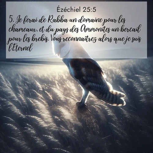 Segond21 Ézéchiel  ; image nature: image avec le verset biblique :Je ferai de Rabba un domaine pour les chameaux, et du pays des Ammonites un bercail pour les brebis. Vous reconnaîtrez alors que je suis l&#039;Eternel. ;  ; 25:5
