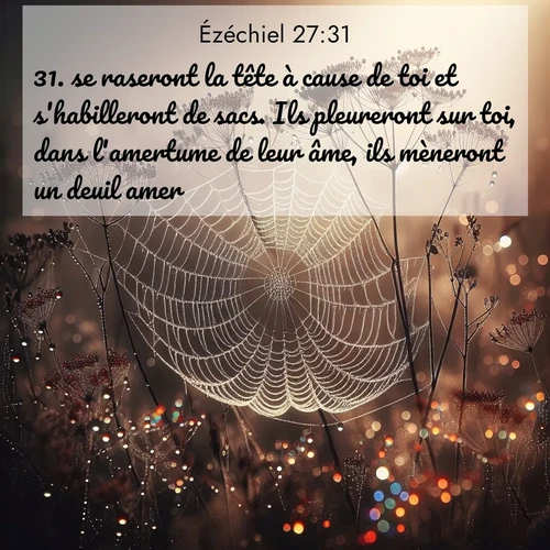 image nature avec verset biblique de la Bible