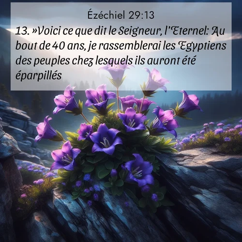 Segond21 Ézéchiel  ; image nature: image avec le verset biblique :»Voici ce que dit le Seigneur, l&#039;Eternel: Au bout de 40 ans, je rassemblerai les Egyptiens des peuples chez lesquels ils auront été éparpillés. ;  ; 29:13