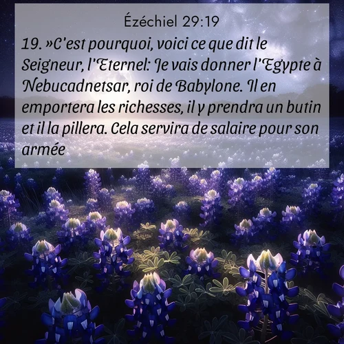 Segond21 Ézéchiel  ; image nature: image avec le verset biblique :»C&#039;est pourquoi, voici ce que dit le Seigneur, l&#039;Eternel: Je vais donner l&#039;Egypte à Nebucadnetsar, roi de Babylone. Il en emportera les richesses, il y prendra un butin et il la pillera. Cela servira de salaire pour son armée. ;  ; 29:19