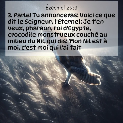 Segond21 Ézéchiel  ; image nature: image avec le verset biblique :Parle! Tu annonceras: Voici ce que dit le Seigneur, l&#039;Eternel: Je t&#039;en veux, pharaon, roi d&#039;Egypte, crocodile monstrueux couché au milieu du Nil, qui dis: &#039;Mon Nil est à moi, c&#039;est moi qui l&#039;ai fait!&#039; ;  ; 29:3