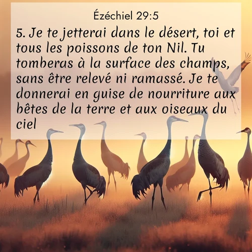 Segond21 Ézéchiel  ; image nature: image avec le verset biblique :Je te jetterai dans le désert, toi et tous les poissons de ton Nil. Tu tomberas à la surface des champs, sans être relevé ni ramassé. Je te donnerai en guise de nourriture aux bêtes de la terre et aux oiseaux du ciel. ;  ; 29:5