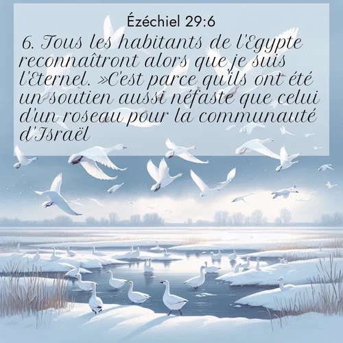 Segond21 Ézéchiel  ; image nature: image avec le verset biblique :Tous les habitants de l&#039;Egypte reconnaîtront alors que je suis l&#039;Eternel. »C&#039;est parce qu&#039;ils ont été un soutien aussi néfaste que celui d&#039;un roseau pour la communauté d&#039;Israël. ;  ; 29:6
