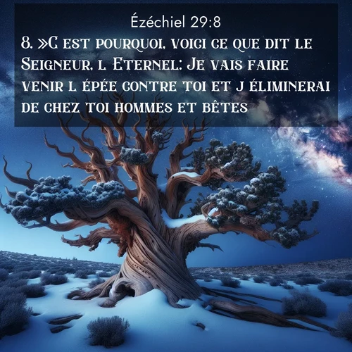 Segond21 Ézéchiel  ; image nature: image avec le verset biblique :»C&#039;est pourquoi, voici ce que dit le Seigneur, l&#039;Eternel: Je vais faire venir l&#039;épée contre toi et j&#039;éliminerai de chez toi hommes et bêtes. ;  ; 29:8