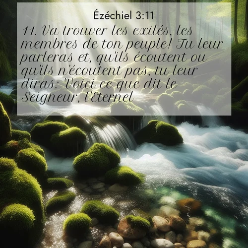 Segond21 Ézéchiel  ; image nature: image avec le verset biblique :Va trouver les exilés, les membres de ton peuple! Tu leur parleras et, qu&#039;ils écoutent ou qu&#039;ils n&#039;écoutent pas, tu leur diras: &#039;Voici ce que dit le Seigneur, l&#039;Eternel.&#039;» ;  ; 3:11