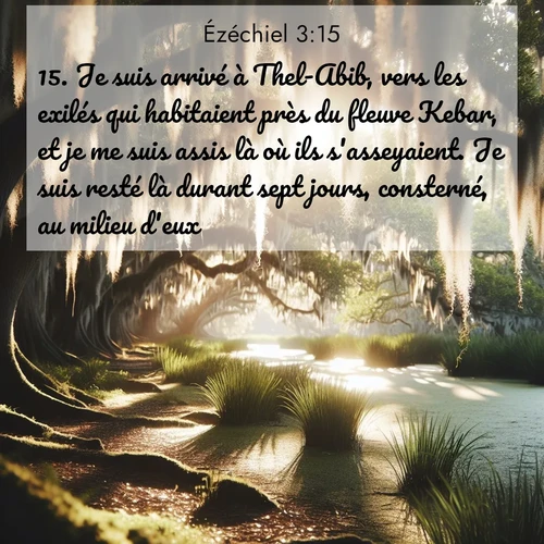 Segond21 Ézéchiel  ; image nature: image avec le verset biblique :Je suis arrivé à Thel-Abib, vers les exilés qui habitaient près du fleuve Kebar, et je me suis assis là où ils s&#039;asseyaient. Je suis resté là durant sept jours, consterné, au milieu d&#039;eux. ;  ; 3:15