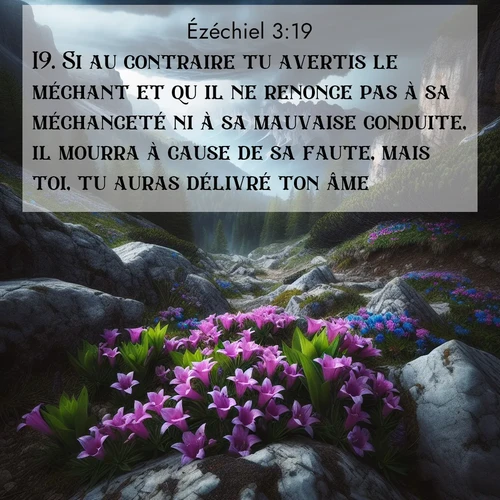 Segond21 Ézéchiel  ; image nature: image avec le verset biblique :Si au contraire tu avertis le méchant et qu&#039;il ne renonce pas à sa méchanceté ni à sa mauvaise conduite, il mourra à cause de sa faute, mais toi, tu auras délivré ton âme. ;  ; 3:19