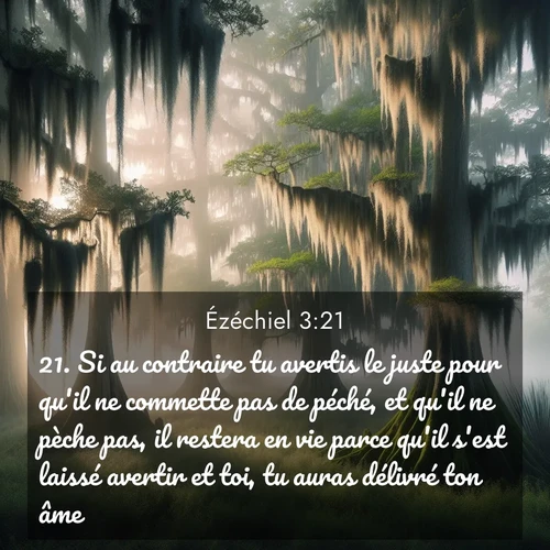 Segond21 Ézéchiel  ; image nature: image avec le verset biblique :Si au contraire tu avertis le juste pour qu&#039;il ne commette pas de péché, et qu&#039;il ne pèche pas, il restera en vie parce qu&#039;il s&#039;est laissé avertir et toi, tu auras délivré ton âme.» ;  ; 3:21