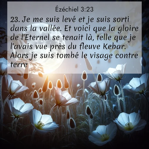 Segond21 Ézéchiel  ; image nature: image avec le verset biblique :Je me suis levé et je suis sorti dans la vallée. Et voici que la gloire de l&#039;Eternel se tenait là, telle que je l&#039;avais vue près du fleuve Kebar. Alors je suis tombé le visage contre terre. ;  ; 3:23
