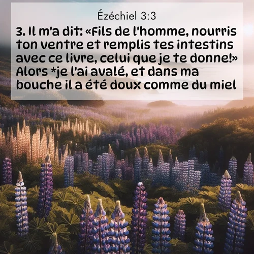 Segond21 Ézéchiel  ; image nature: image avec le verset biblique :Il m&#039;a dit: «Fils de l&#039;homme, nourris ton ventre et remplis tes intestins avec ce livre, celui que je te donne!» Alors *je l&#039;ai avalé, et dans ma bouche il a été doux comme du miel. ;  ; 3:3