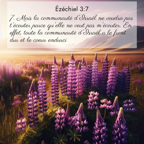 Segond21 Ézéchiel  ; image nature: image avec le verset biblique :Mais la communauté d&#039;Israël ne voudra pas t&#039;écouter parce qu&#039;elle ne veut pas m&#039;écouter. En effet, toute la communauté d&#039;Israël a le front dur et le coeur endurci. ;  ; 3:7