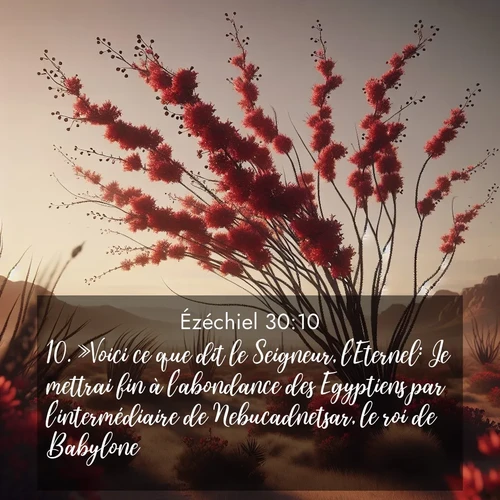 image nature avec verset biblique de la Bible