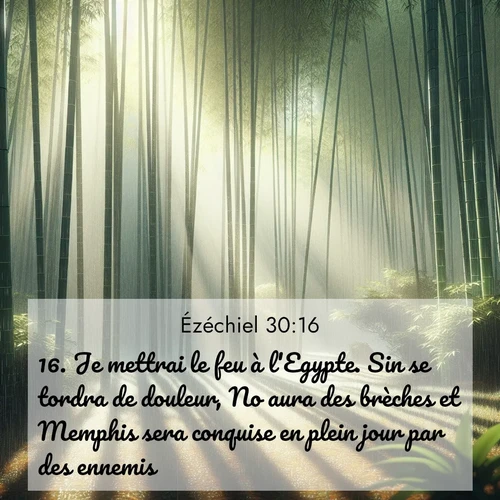 image nature avec verset biblique de la Bible