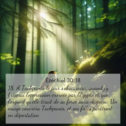 image nature avec verset biblique de la Bible
