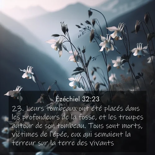 Segond21 Ézéchiel  ; image nature: image avec le verset biblique :Leurs tombeaux ont été placés dans les profondeurs de la fosse, et les troupes autour de son tombeau. Tous sont morts, victimes de l&#039;épée, eux qui semaient la terreur sur la terre des vivants. ;  ; 32:23
