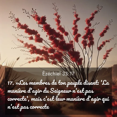 Segond21 Ézéchiel  ; image nature: image avec le verset biblique :»Les membres de ton peuple disent: &#039;La manière d&#039;agir du Seigneur n&#039;est pas correcte&#039;, mais c&#039;est leur manière d&#039;agir qui n&#039;est pas correcte. ;  ; 33:17