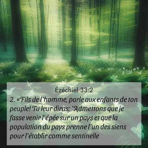 Segond21 Ézéchiel  ; image nature: image avec le verset biblique :«Fils de l&#039;homme, parle aux enfants de ton peuple! Tu leur diras: &#039;Admettons que je fasse venir l&#039;épée sur un pays et que la population du pays prenne l&#039;un des siens pour l&#039;établir comme sentinelle. ;  ; 33:2
